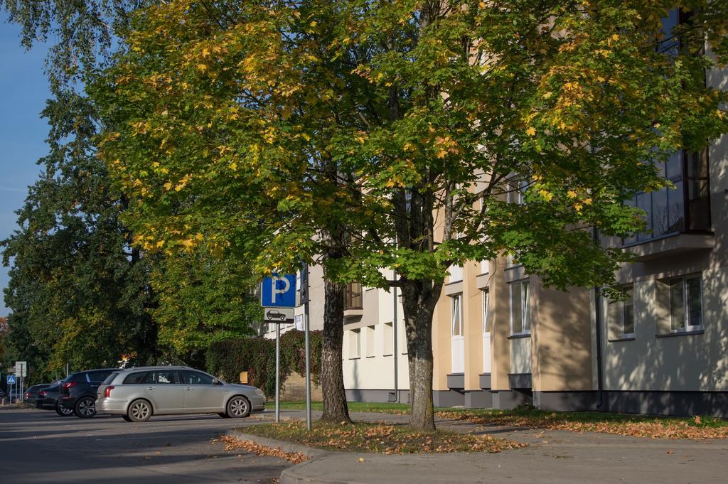 Snow Apartment Druskininkai Bagian luar foto
