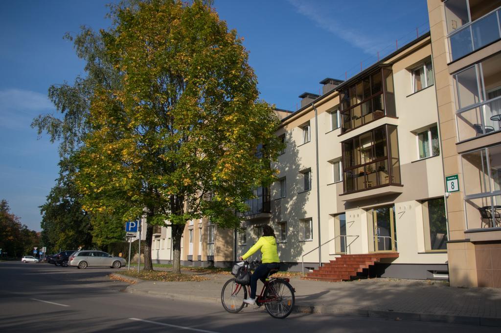 Snow Apartment Druskininkai Bagian luar foto